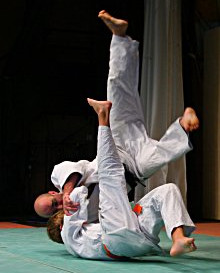 Judo image